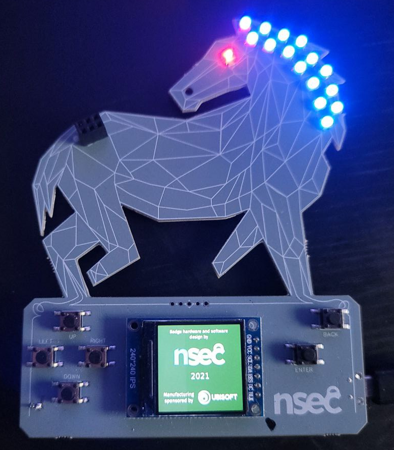 NSEC 2021 - Badgelife - Main Flags